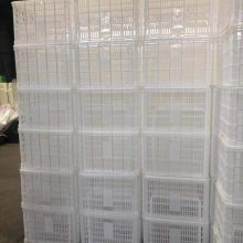 天水塑料筐蔬菜筐带铁把菜筐139,1903,1250