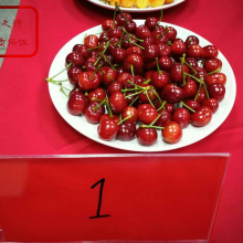 ˹8ӣ ˹8ӣ繩Ӧ ˹8ӣ۸ʵ