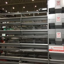 中州厂家生产四层鸡笼子育雏鸡笼立体式养鸡设备价低质优