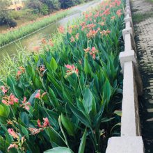  ˮֲֲ ˮʾ ӵ ˮ̻˹