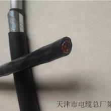 室外屏蔽通信电缆AZVP5X2X0.9