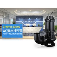 qw潜污泵40WQ7-15-0.75kw小型抽粪污水泵