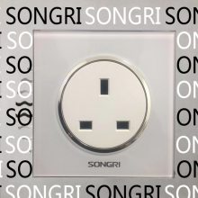 ϺSONGRI ײ ֻ 250V16A10A
