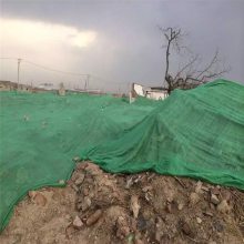 盖沙遮阳网 工地覆盖绿网 聚乙烯扁丝防尘网 瑞莱丝网