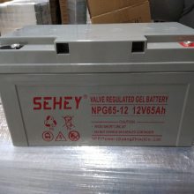 SEHEY12V-250AH 12V250AHطʽǦά