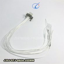 J30J-9TJ-Q60A-200MM/J30J-9TJ-Q60A-300MM 괴
