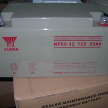广东YUASA汤浅蓄电池代理商NP100-12直流屏汤浅蓄电池12V100AH