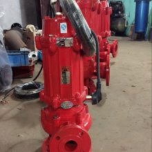 WQR耐高温排污泵耐高温腐蚀化污水泵耐高温水泵