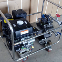 林晟LS1000应急救灾手抬式森林消防泵 多功能森林灭火泵 移动式机动消防泵