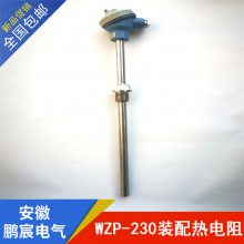 WZP2-231ưװ˫֧װȵ