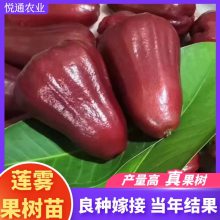 Ҷڽպǰż޽統ˮ
