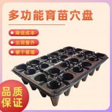 草莓育苗专用穴盘 24个穴孔加深育苗盘尺寸540*360mm