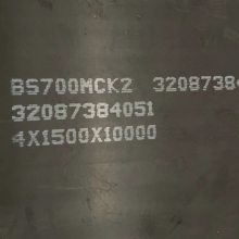 BS700MCK2HG785