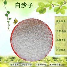 铸造用白沙子 高温耐火一级雪花白 公园草坪 造景沙滩 儿童娱乐
