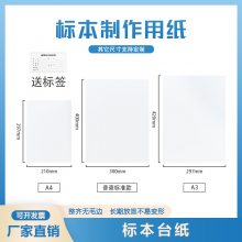 蜡叶标本套装标本袋昆虫植物标签台纸硫酸纸A3A4植物标本制作工具