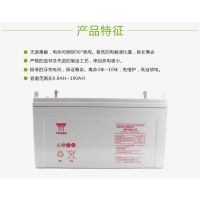 YUASA汤浅 蓄电池NP100-12 12V100AH铅酸UPS电池 UPS电源电池