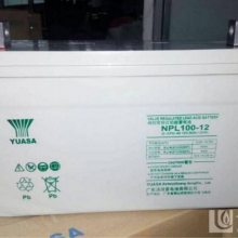 ǳNPL100-12/12V100AHֱ