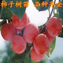 Ʒд硢硢 ϱֵ