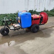 风送式远程喷雾器 乘坐式风送喷雾器 自走大马力打药 盛祥顺
