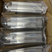 FESTO/˹ ͺDSBC-50-160-PPVA-N3