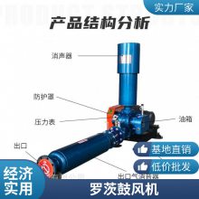 免费安装调试 锅炉炉窑引风 维修方便 罗茨风机
