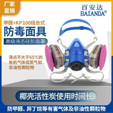 百安达 FB3117+1201 AX1KP100 防甲醛及颗粒物 硅胶防毒面具