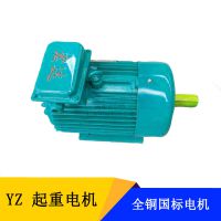 ľ˹YZ160L-6-11KW 611ǧߵ綯 ұ첽