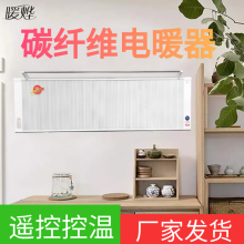 家用碳纤维电暖气 碳纤维取暖器 壁挂式平板电暖器