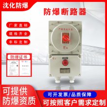 直销 防爆断路器 防爆漏电开关 防爆粉尘开关 支持定制
