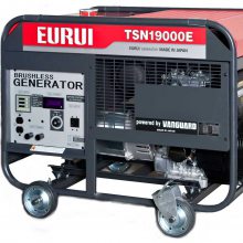 ձEURUI20/22KVA380V˫׷ƶʽͷ