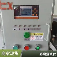 DP900-G酸露点仪 酸露点仪生产厂家直销 诚信立业