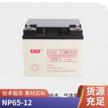 EASTNNP65-12 12V65AH upsϵԴ EPSֱר