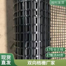 世杰 锁扣式 钢塑土工格栅 沥青路面增强路基省时省力