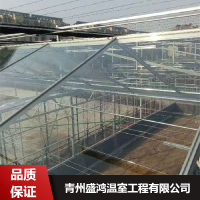 ʢ豨_򵥹_ֲ߲_/ʪԺ