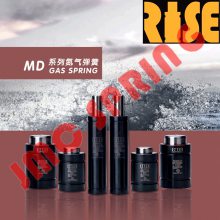 ֻRISE
