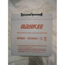 ؿBAYKEE6FM24 12V24AH ƻUPS/EPS豸Դ