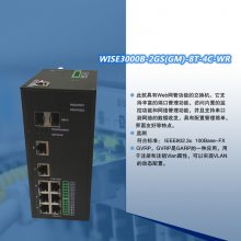 ǧ4ڹҵڷ-WISE3000B-2GS8T-4C-WR