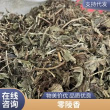 广零陵香 正宗药材灵香草 无硫中药材满山香 原材料驱蛔虫草