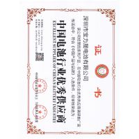 中国电池行业优秀供应商