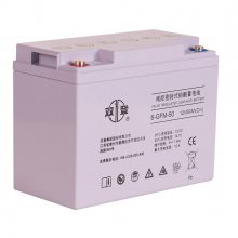 ˫6-GFM-38 12V28AHUPSԴרǦά