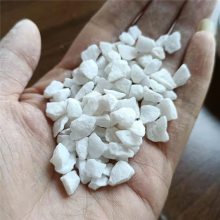 庭院造景绿植铺面用白色鹅卵石 水洗白石子 6-9mm 1-2cm