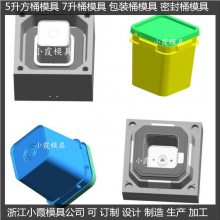 黄岩大型注塑模具油漆桶模具 食品桶模具