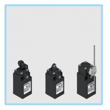 Pizzatoλÿ FD 502-GM2-EX7