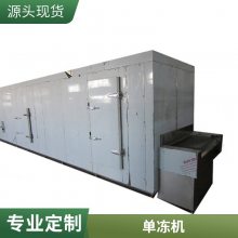 100kg/h隧道式速冻机 海鲜水产单冻加工设备 快速冷冻单冻机
