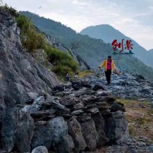 广东省英德市特产英石-园林假山流溪驳岸石-清远英石峰石叠石批发