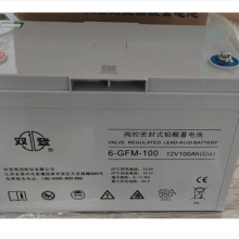 ˫ǷܱʽǦ6-GFM-100(C10)