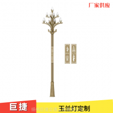 玉兰灯 夜间景观亮化 大面积LED照明工程 巨捷牌8-15米定制式