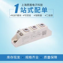 ¹׿SKKT106/22EIGBTģ