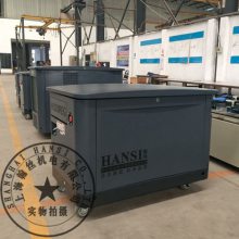 20KW静音汽油发电机三相380V汽车四缸动力HS20REG