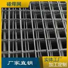 ݳȶп纸 ֳ纸 ֵ纸